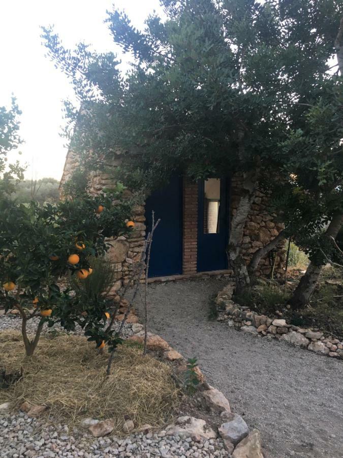 Finca Florecer Tivenys Exteriér fotografie